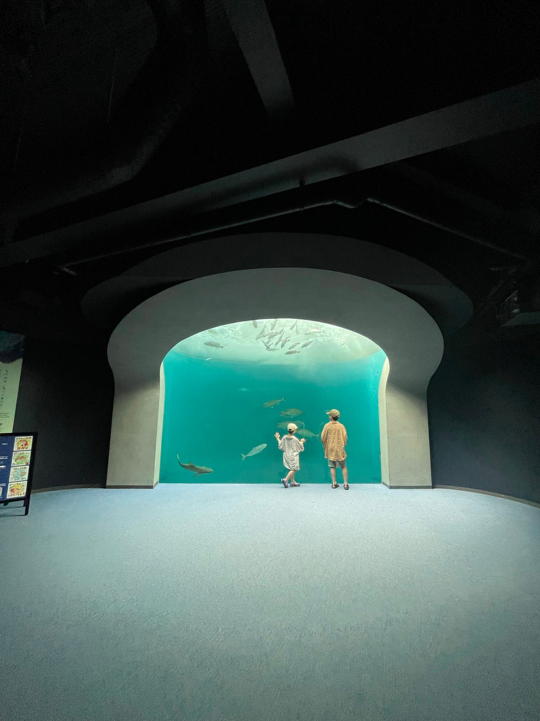 水族館 四国 【3分で分かる】四国水族館のおすすめポイント5選を徹底解説します｜ふぉむすい