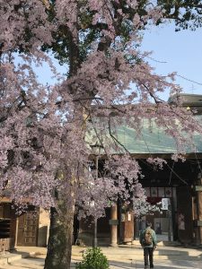 IMG_3050