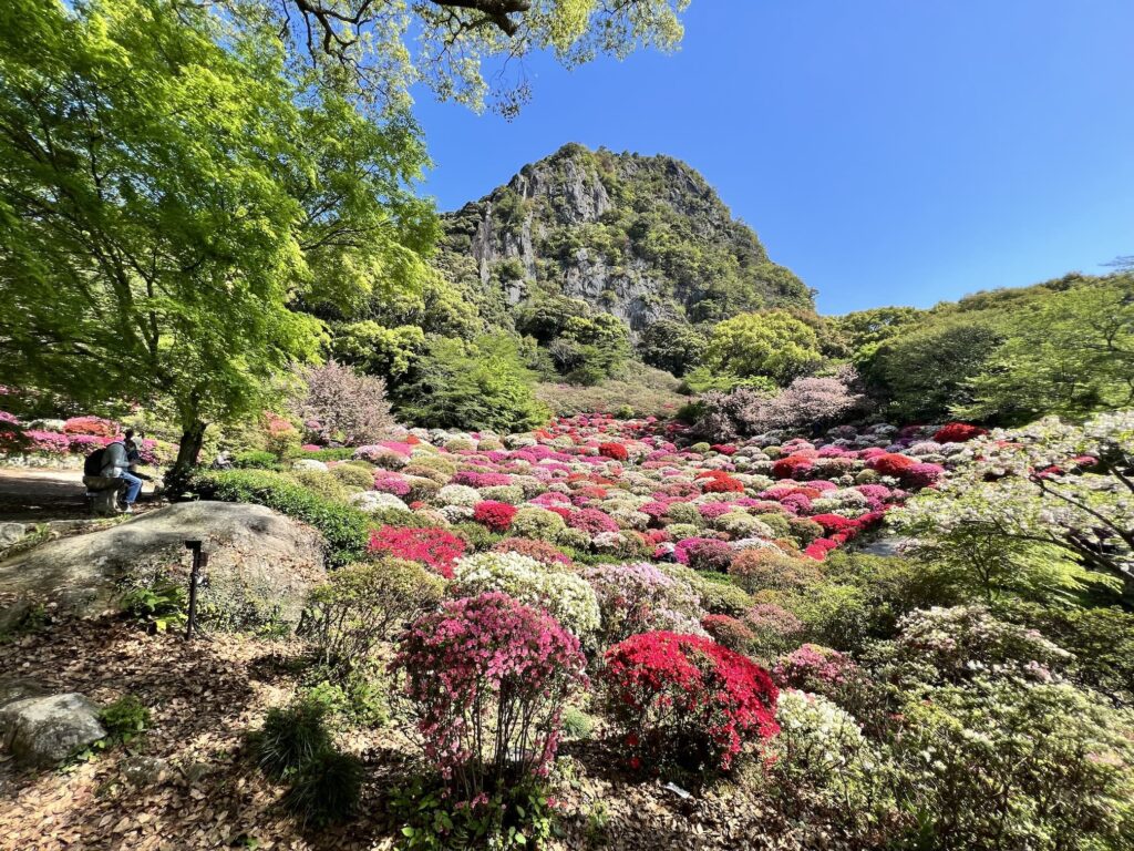 【九州日帰り旅】【福岡日帰り旅行】佐賀 御船山楽園
