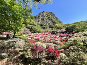 【九州日帰り旅】【福岡日帰り旅行】佐賀 御船山楽園