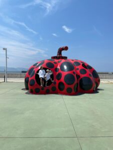 赤カボチャ,直島