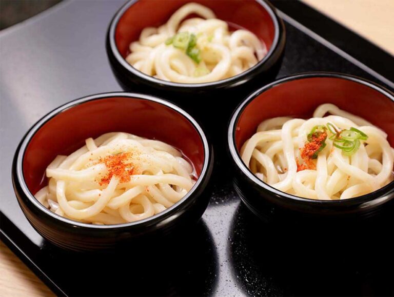 sanukiudon_02